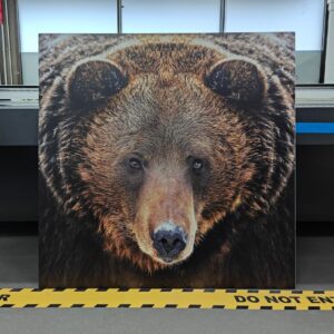 Maple Plywood Printing