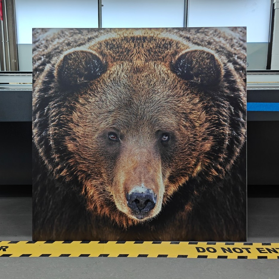 Maple Plywood Printing