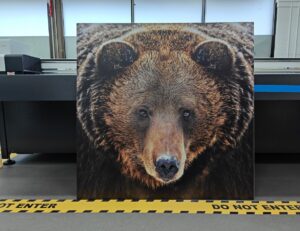 Maple Plywood Printing